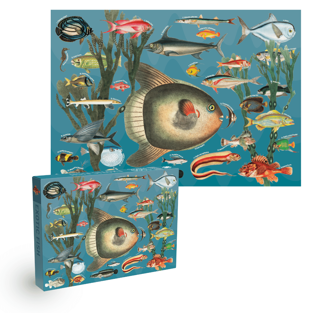 Penny Puzzle – wholesale Puzzle – Adult – Exotic Fish 1000 piece Vintage jigsaw puzzle2