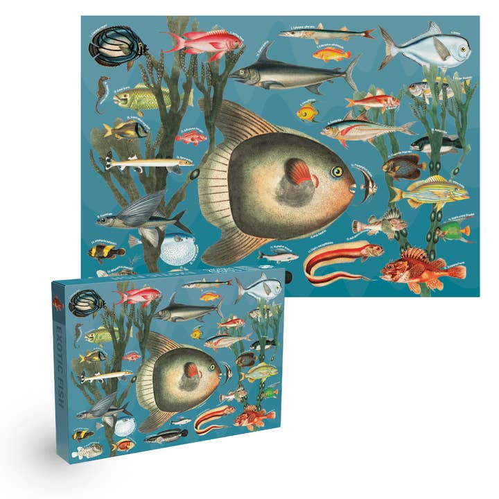 Penny Puzzle - Wholesale Puzzle - Adult - Exotic Fish 1000 piece Vintage jigsaw puzzle2