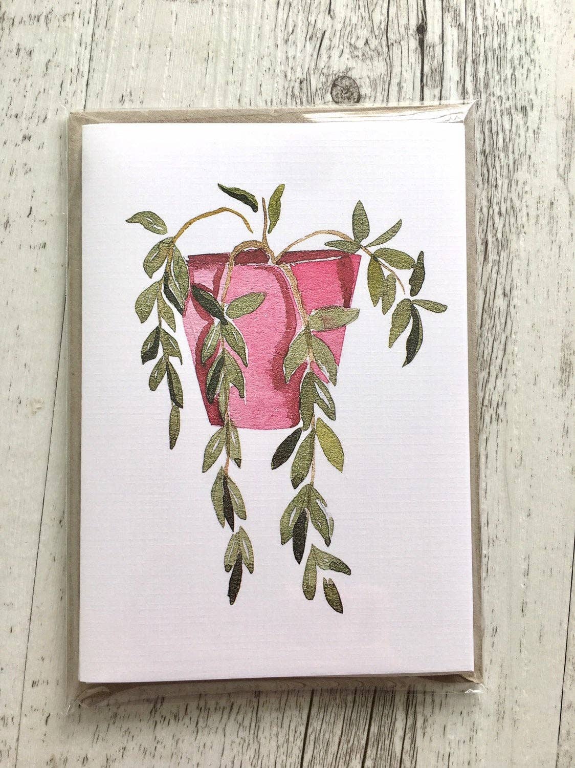 Scattered Seed Co - Wholesale Stationery/Notecard Set - POTTED PLANTS Collection 1 greeting cards set of 47