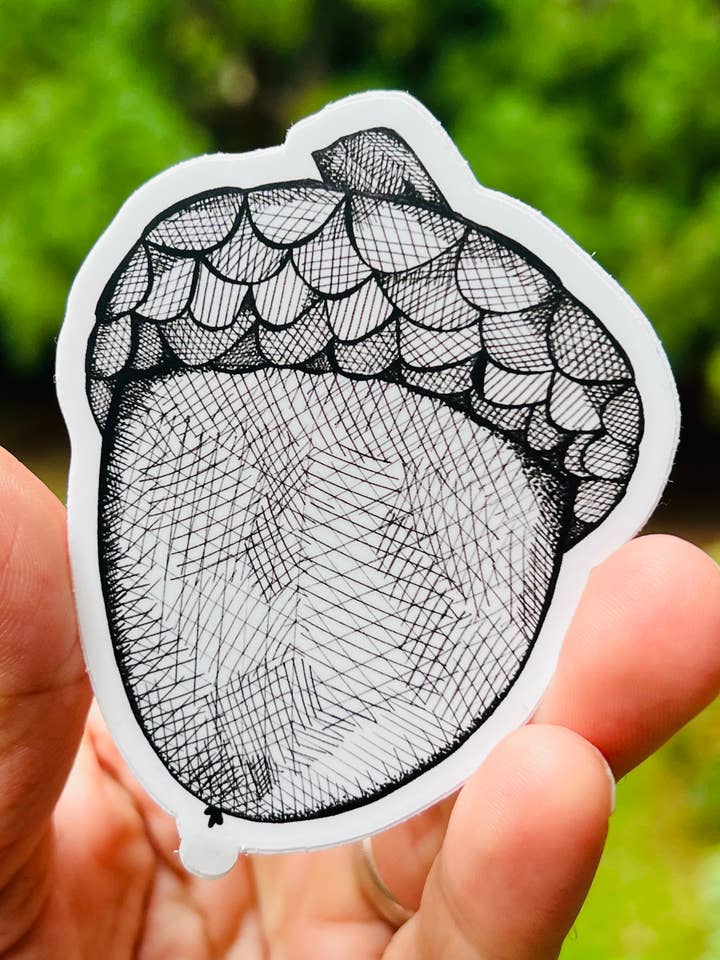 Acorn {sticker} for wholesale by Uncle Dunc's Sticker Shoppe