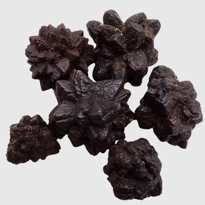 Profetisten for engroshandel hos The Hare And The Moon