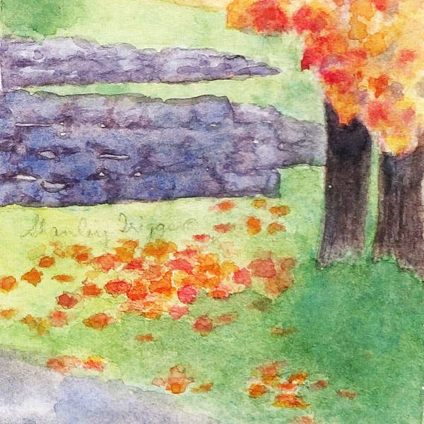 STAMPA AUTUNNALE DEL VERMONT - FAIRFIELD BARN per la vendita all'ingrosso da parte di Shanley Triggs Art