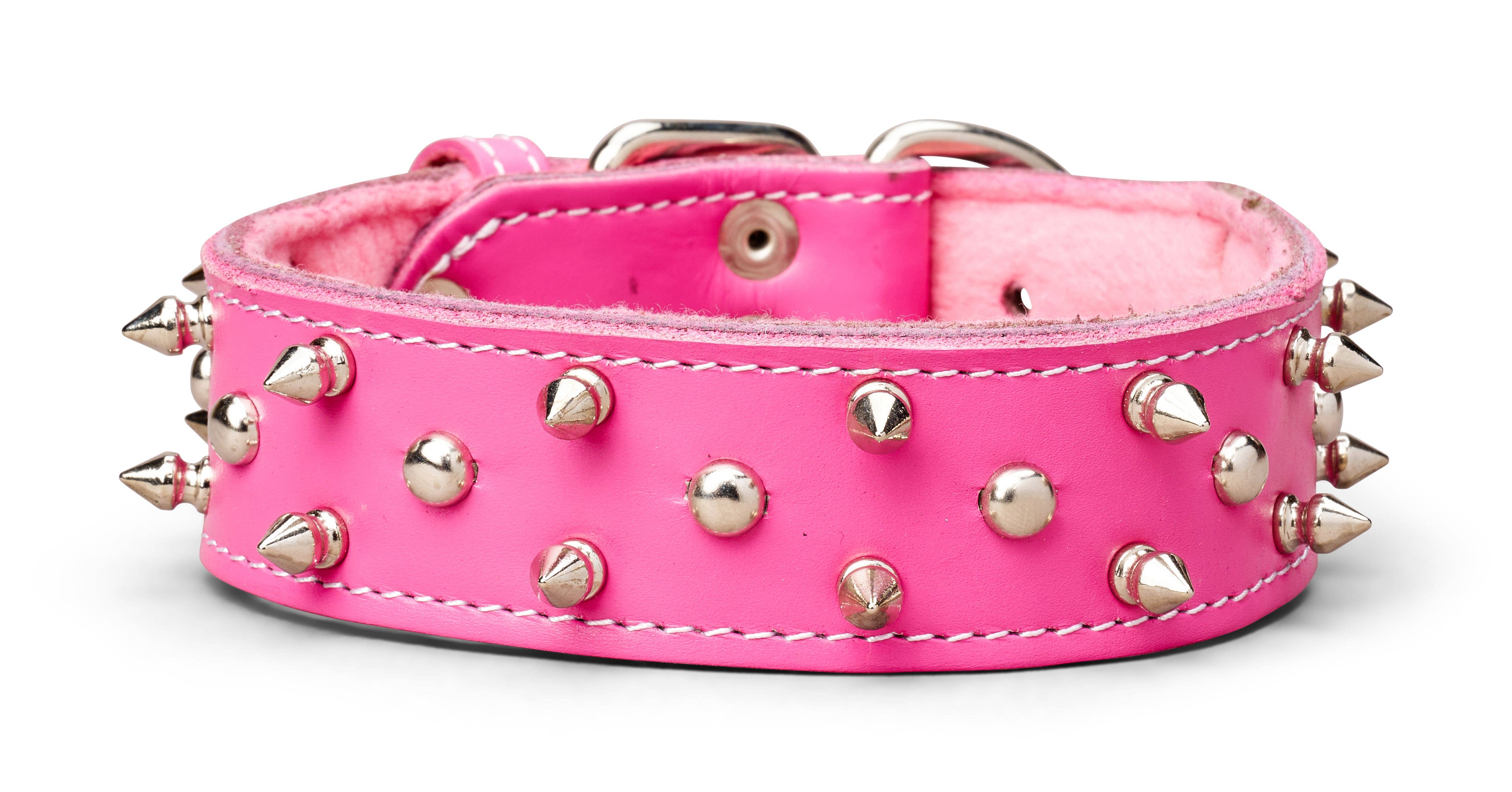 TOP DOG BRAND INC - Vente Collier – chien - Colliers en cuir à pointes de 1 3/4 pouce de large8