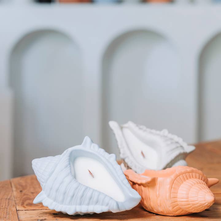 Agua Benta - Wholesale Novelty Candle - Marisko shell candle5