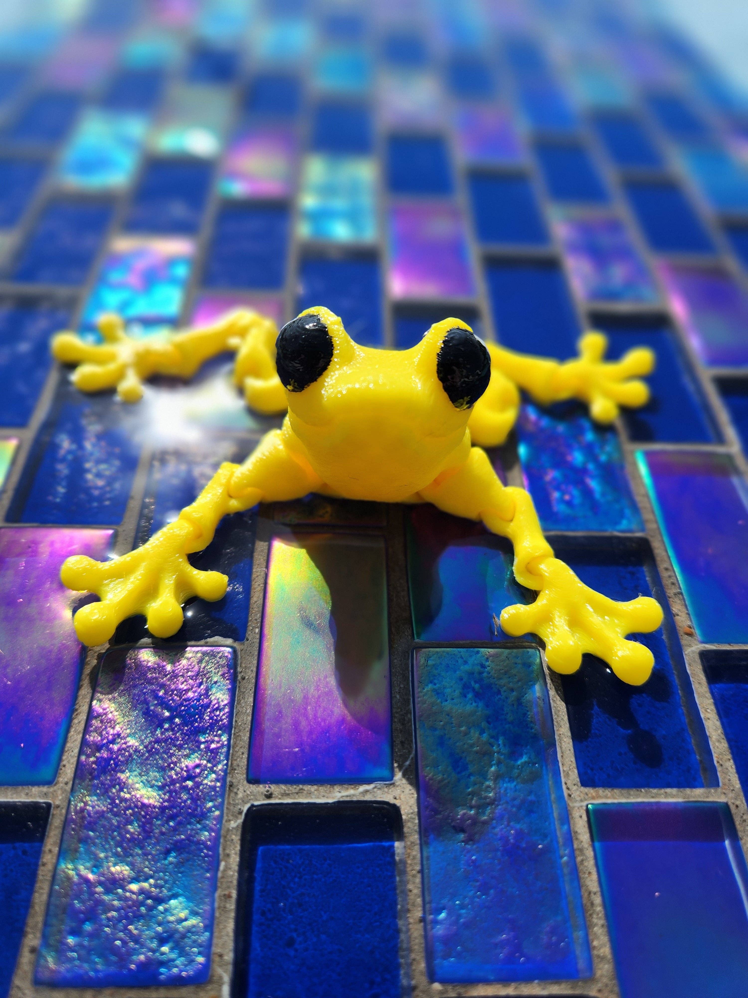 Altered Matter - Wholesale Fidget Toy - Kids - Froggy Friend - 3d Printed Fidget8