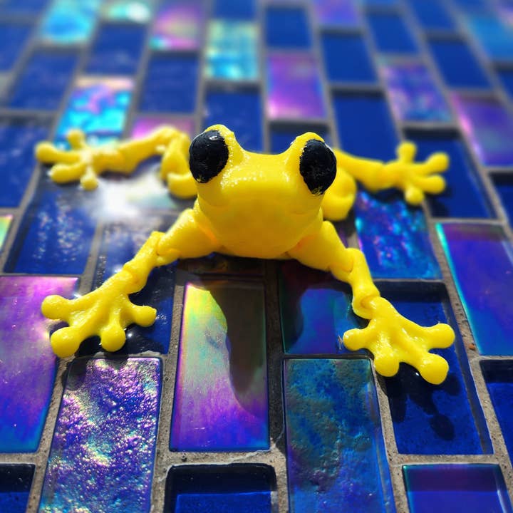 Altered Matter - Wholesale Fidget Toy - Kids - Froggy Friend - 3d Printed Fidget8