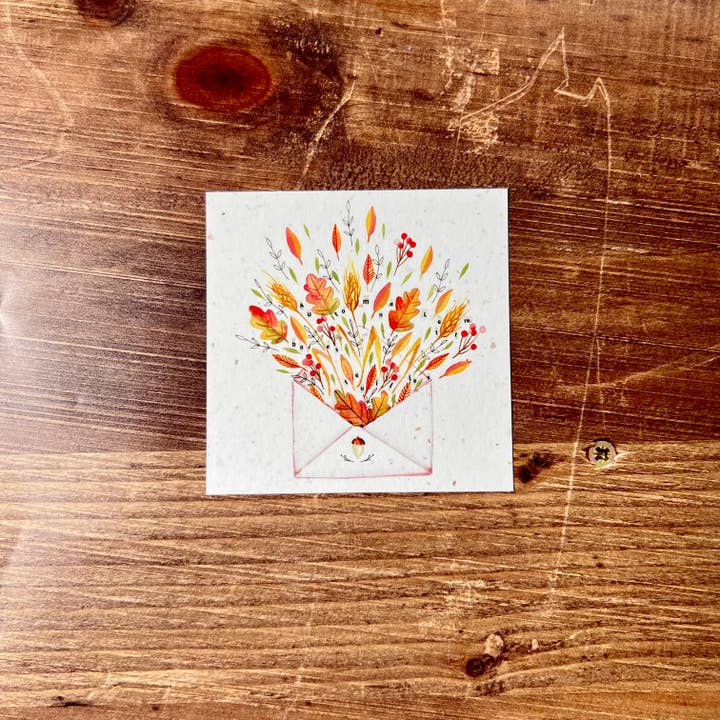 Les cartes de Lulu - Wholesale Everyday Greeting Card - Small cards for florist / gift basket "Autumn"2