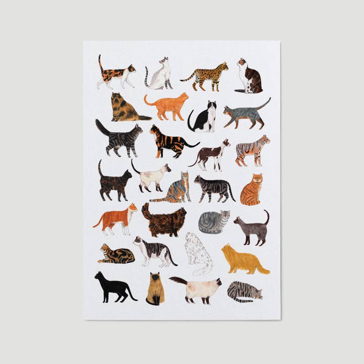 Cat Breeds Art Print for wholesale by James Barker