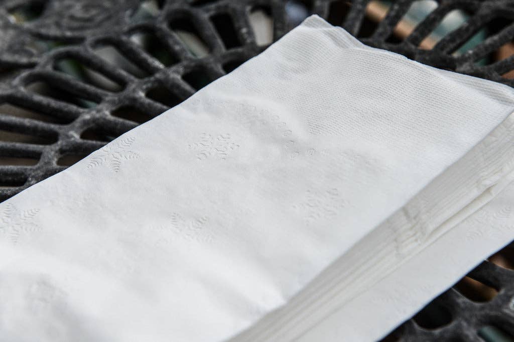 EcoQuality - Wholesale Disposable Napkin - 2-Ply White Disposable Paper Dinner Napkins 15" x 17"7