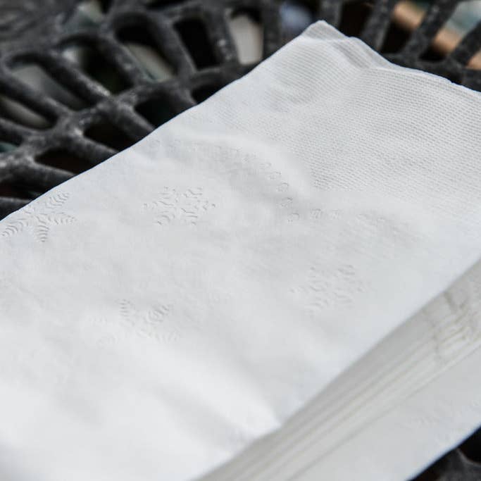 EcoQuality - Wholesale Disposable Napkin - 2-Ply White Disposable Paper Dinner Napkins 15" x 17"7