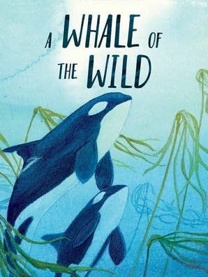 Whale of the Wild, A: Rosanne Parry for wholesale by HarperCollins
