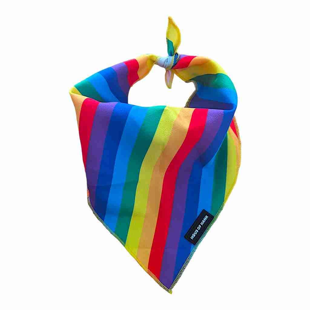 Haus of Hank – wholesale Pet bandana – Dog – Rainbow Love Bandana1