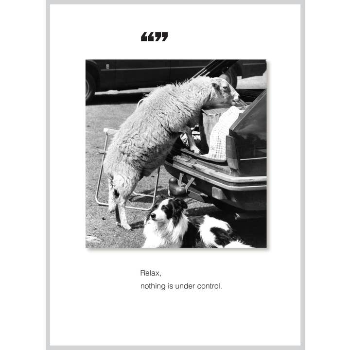 The Borealis Press Inc – wholesale Everyday greeting card – Relax All Occasion/Birthday Greeting Card