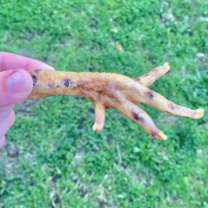 Rocky&Stella’s Treats - Wholesale Pet Treats - Dog - Dehydrated Chicken Feet1