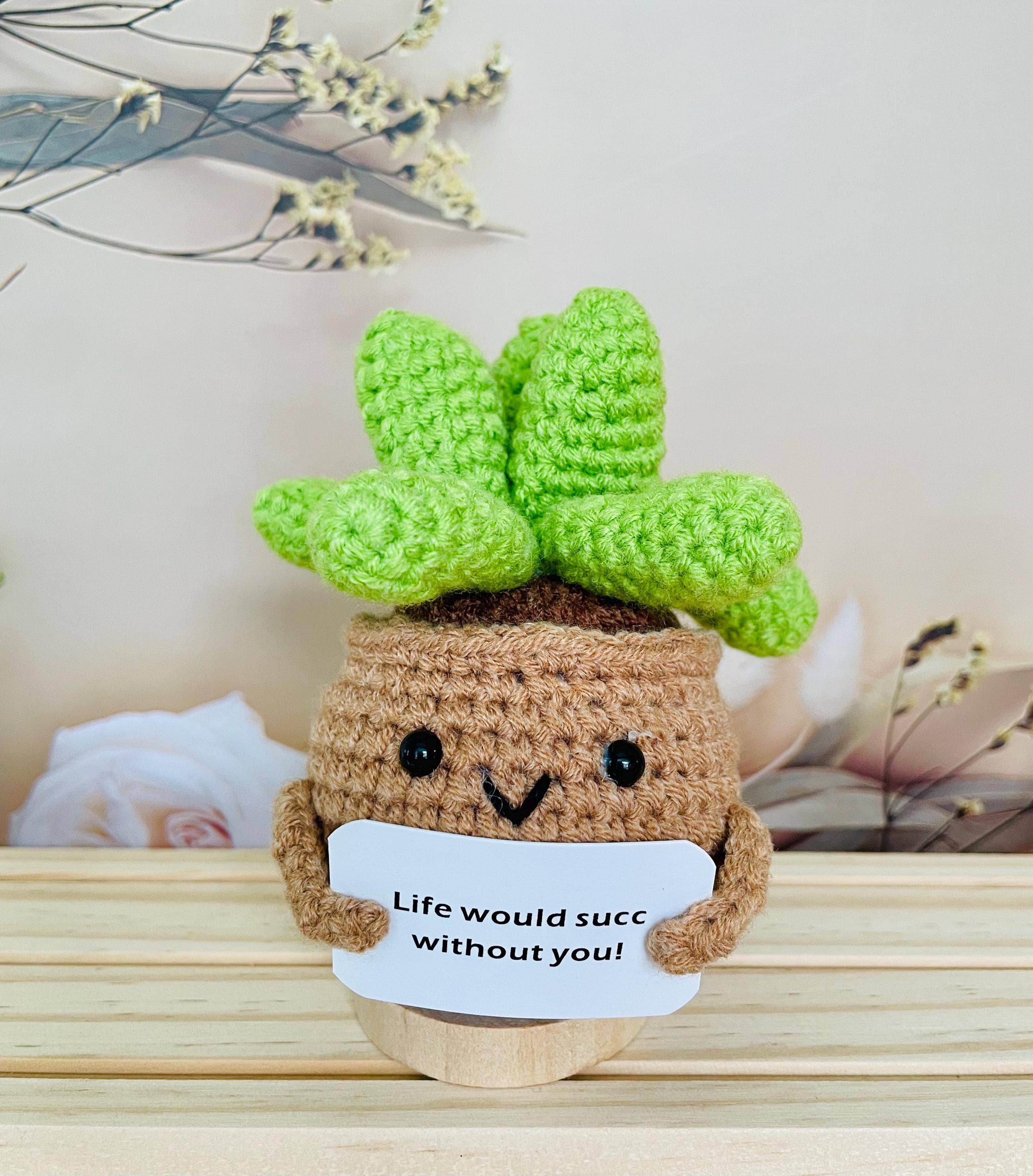 TOMOPOD LLC – wholesale Christmas decoration – Crochet Cactus Succulent Plant Emotional Support1