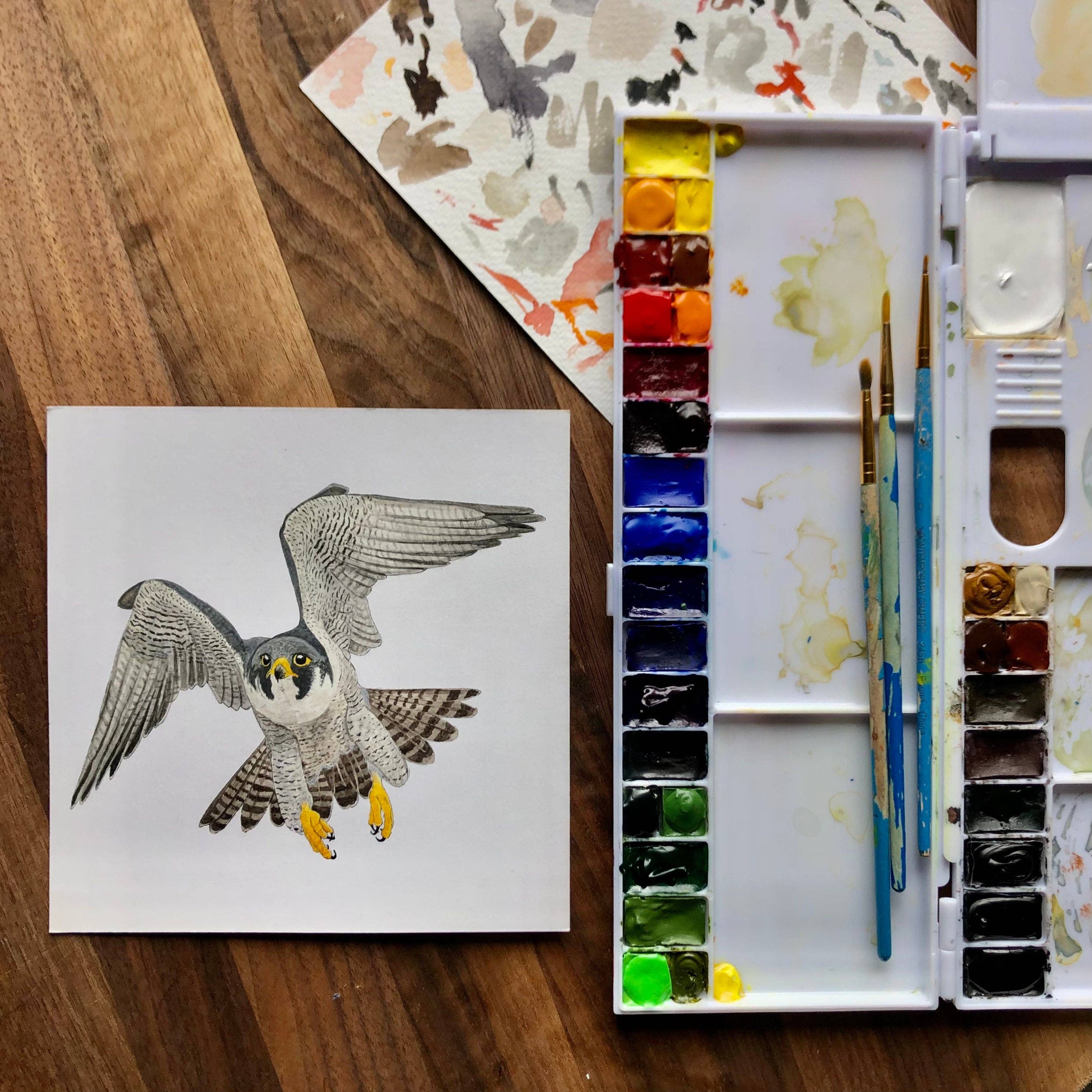 YubaCat Designs - Wholesale Sticker - Peregrine Falcon sticker3