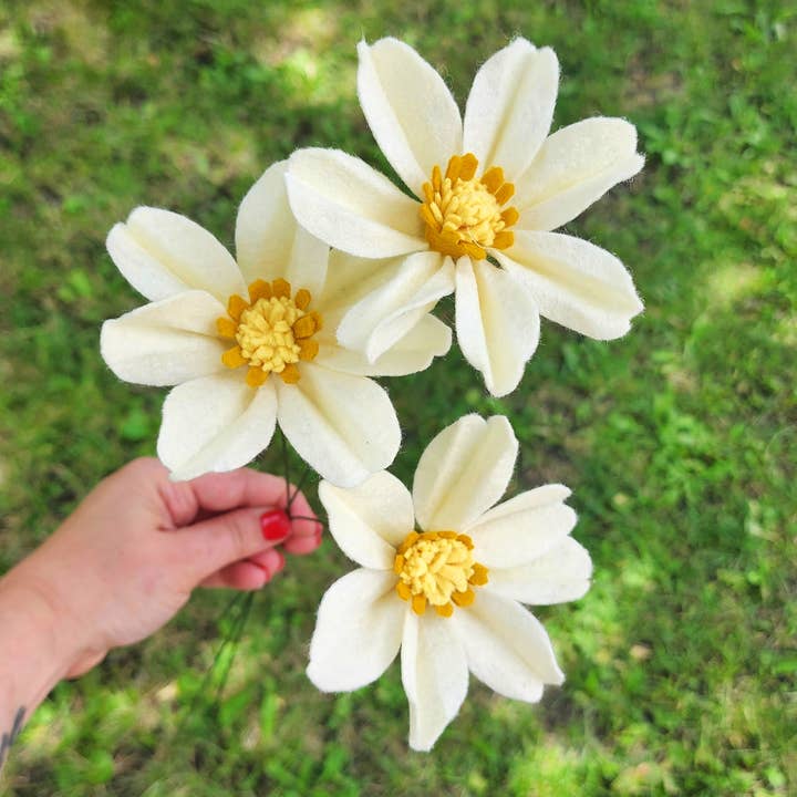 Madymae Felt Florals - Vente Fleurs artificielles - Cosmos en feutre