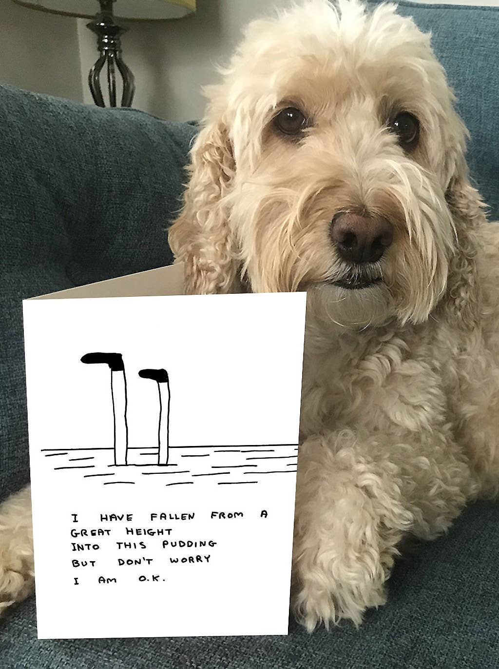 David Shrigley x Brainbox Candy – Großhandel Grußkarten für den Alltag – Lustige Grußkarte von David Shrigley - Pudding5