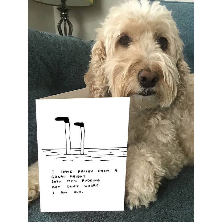 David Shrigley x Brainbox Candy - Vente Carte de vœux classique - Carte de vœux amusante par David Shrigley - Pudding5