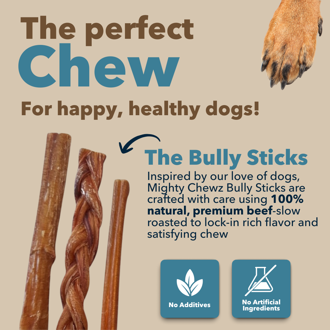 Mighty Chewz - Wholesale Pet Treats - Dog - 6" Standard Braided Bully Sticks ($1.84/ stick)4