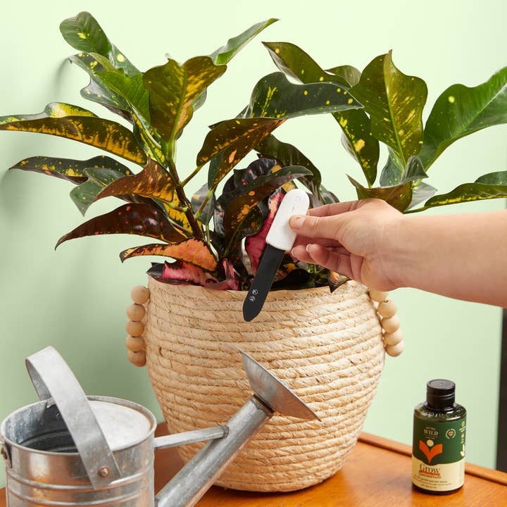 We The Wild Plant Care USA - Wholesale Garden Tool - Moisture Meter