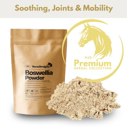 Boswellia Powder for wholesale by Horse Straights Direct