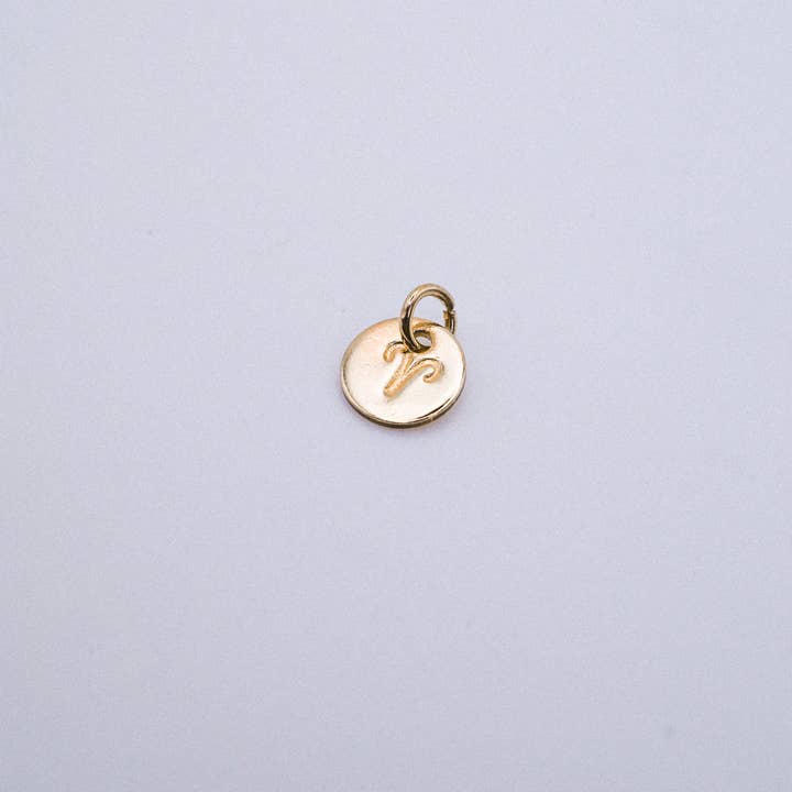 Hannah Naomi - Wholesale Individual Charm/Pendant - Tiny Zodiac Circle Charm, SOLID 14K Gold