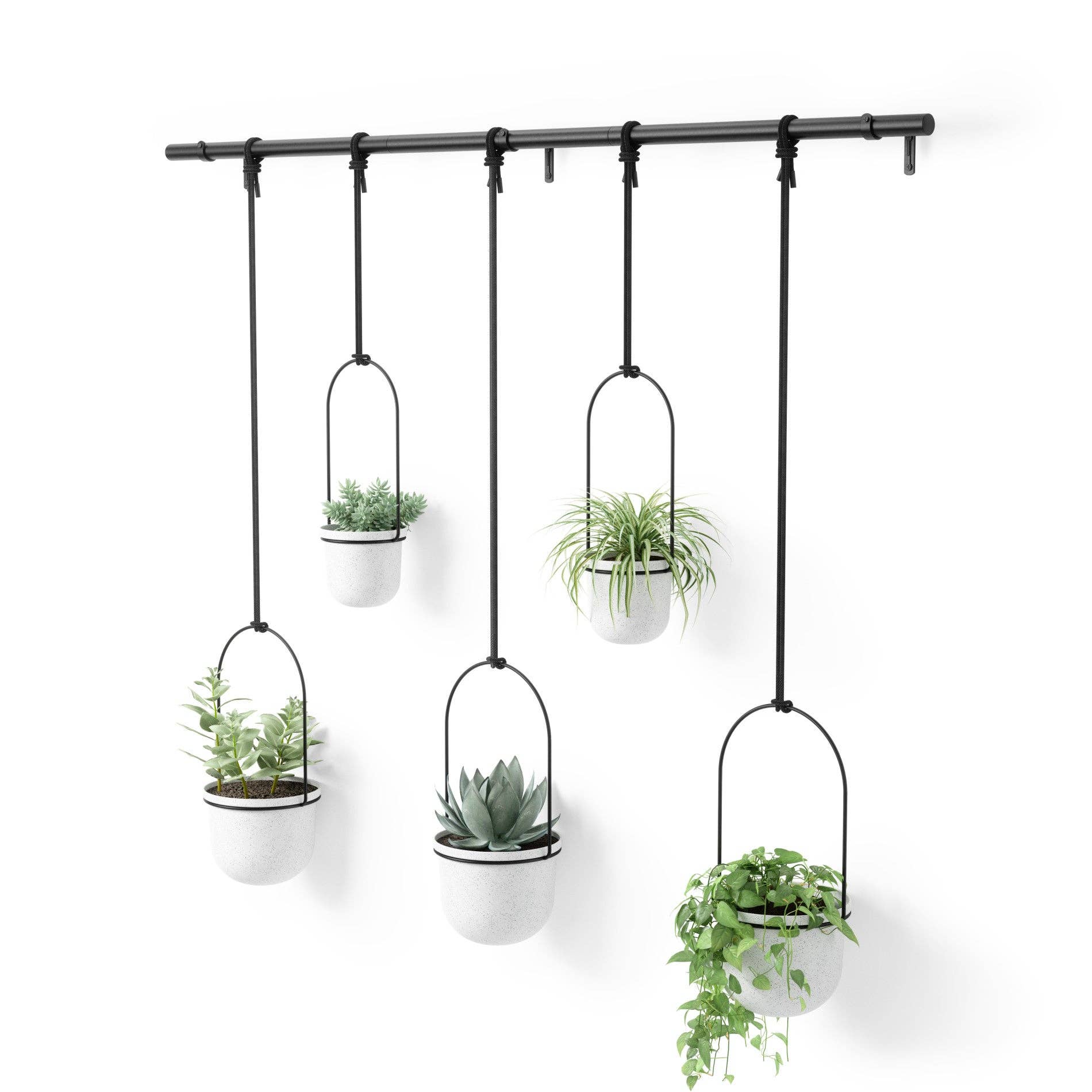 Umbra - Wholesale Hanging Planter - Triflora Hanging Planters, Set of 58