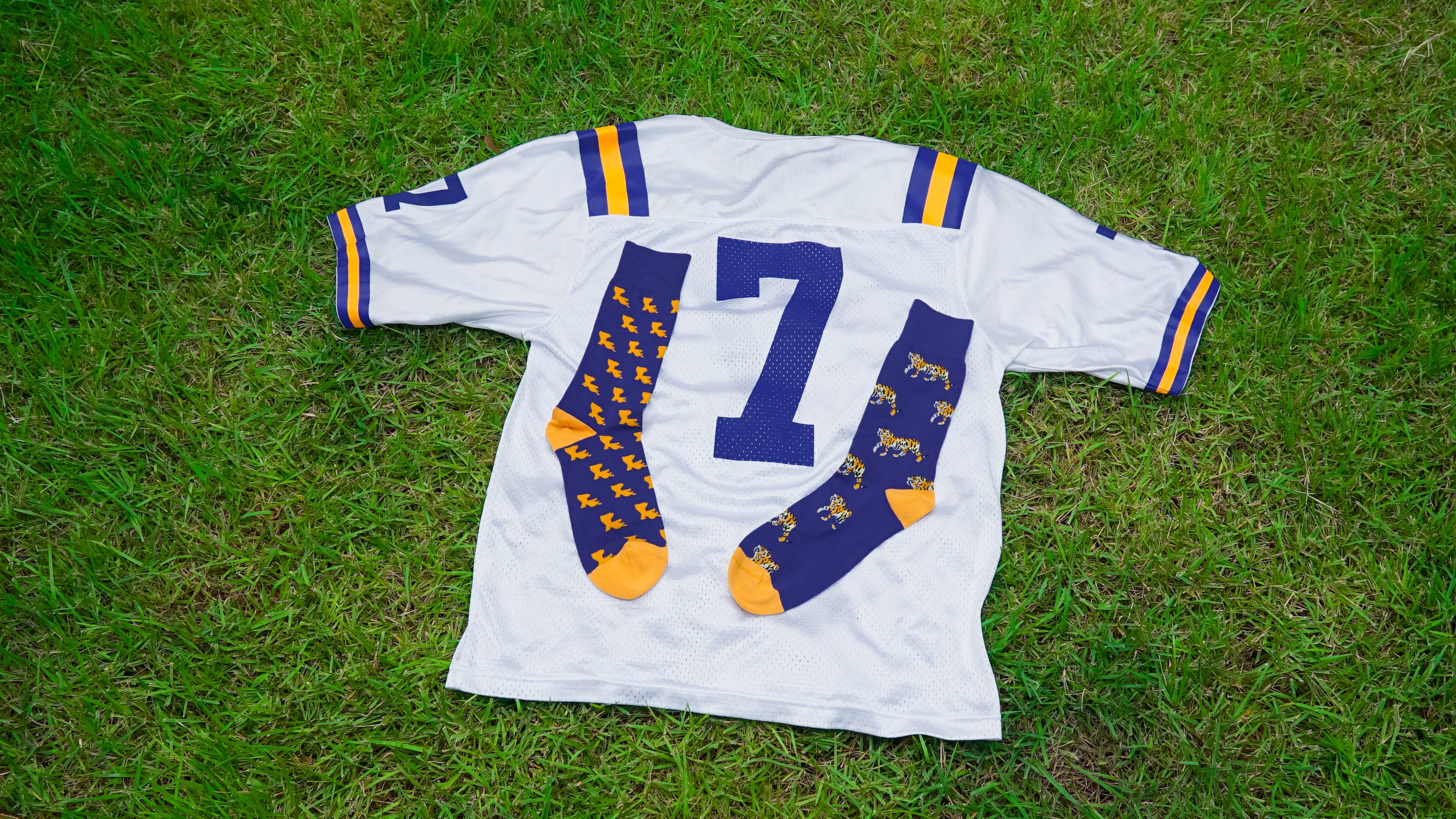 ELL & Atty - Wholesale Socks - Men's - Tiger Den Men's Socks in Purple and Gold Pima Cotton3