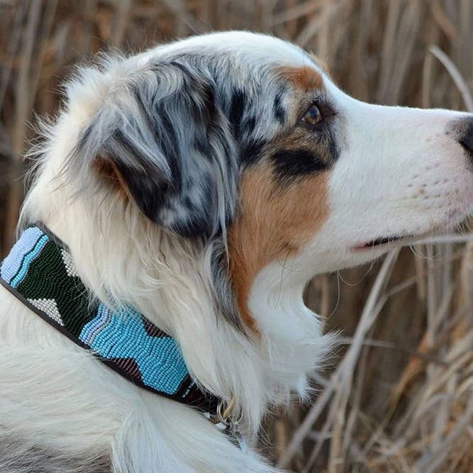 The Kenyan Collection Inc. dba TKC Inc - Wholesale Pet Collar - Dog - Jacaranda Beaded Dog Collar