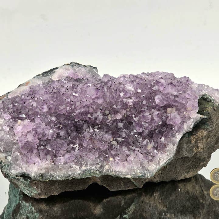 Grande Aglomerado de Cristal de Ametista Brasileira 14,56kg por atacado de Distinction Crystals