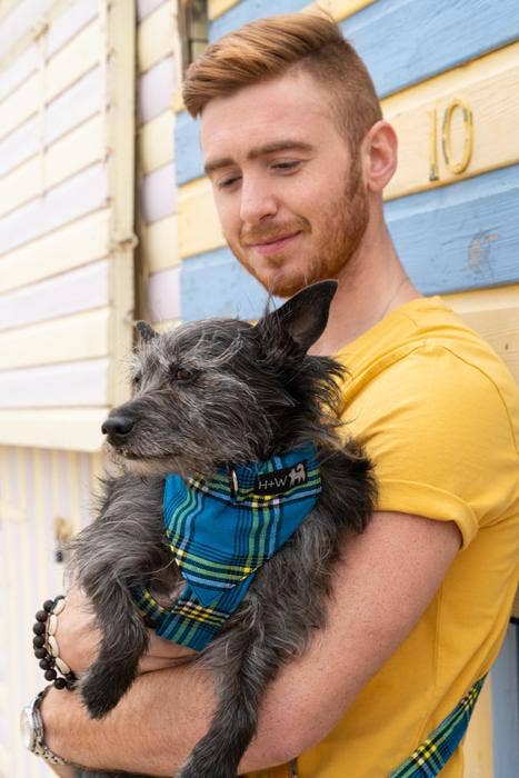Hiro + Wolf - Wholesale Pet Bandana - Dog - Shuka Blue Dog Bandana1