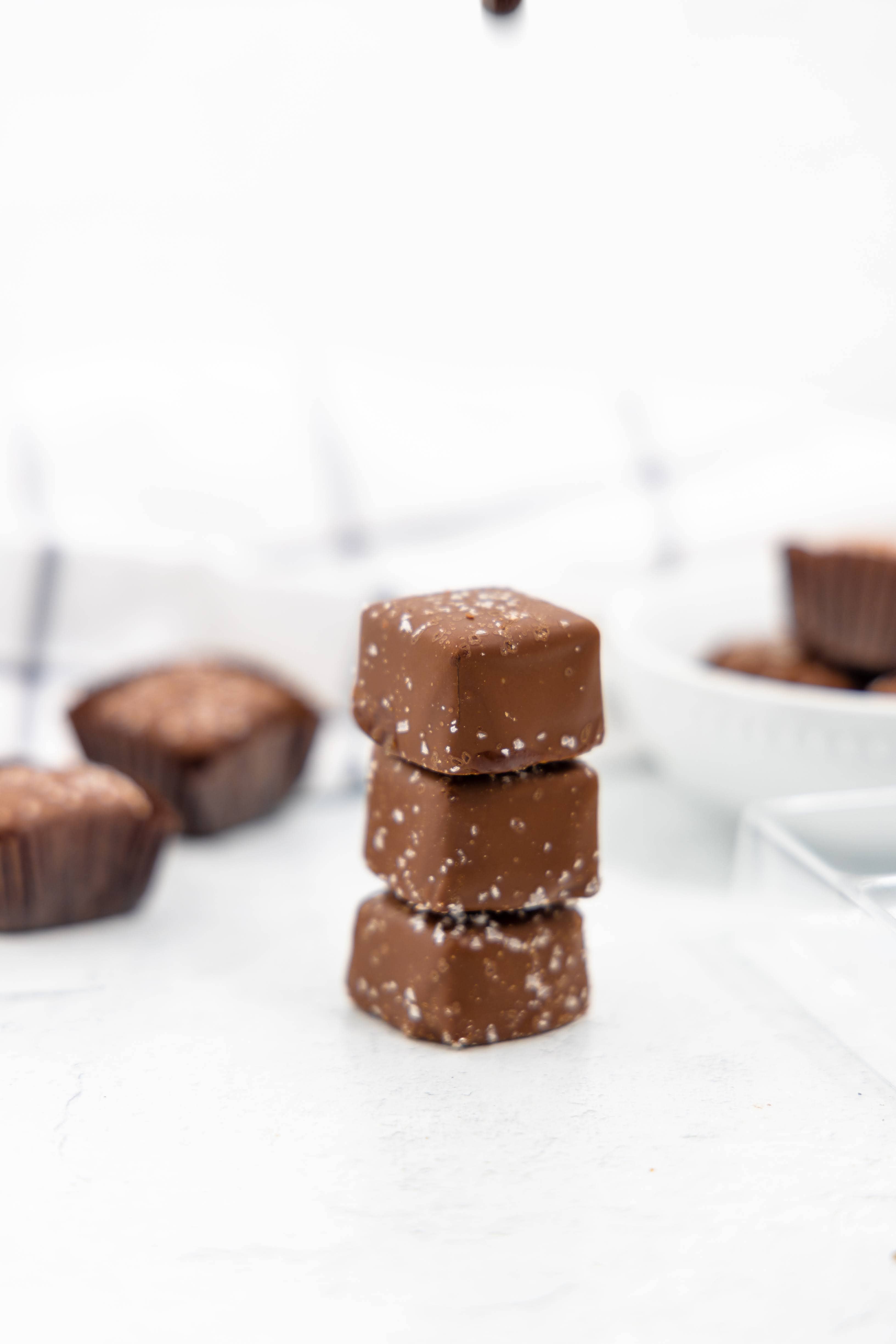 Gig Harbor Candy Company – Engroshandel Chokoladeovertrukket slik – Sukkerfri mørk chokolade med havsalt og karamel4