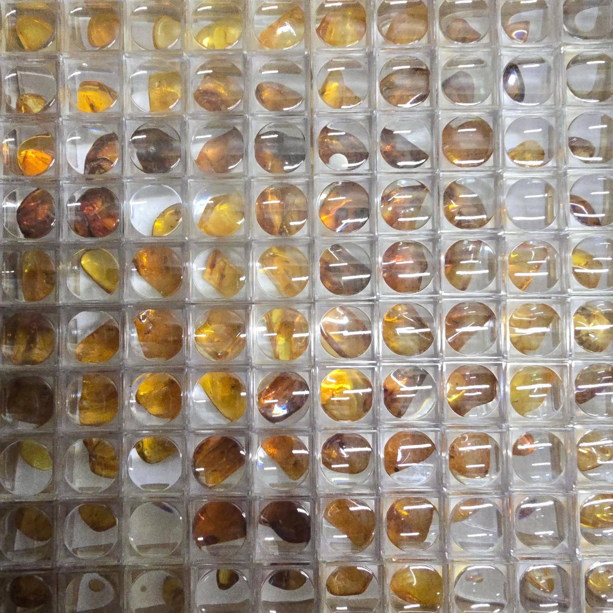 Aquamarine Daydream Wholesale - Vente Pierre et cristal de spiritualité - Ambre avec Insectes ~ Loupe ~ Cristaux ~ Spécimen Minéral0