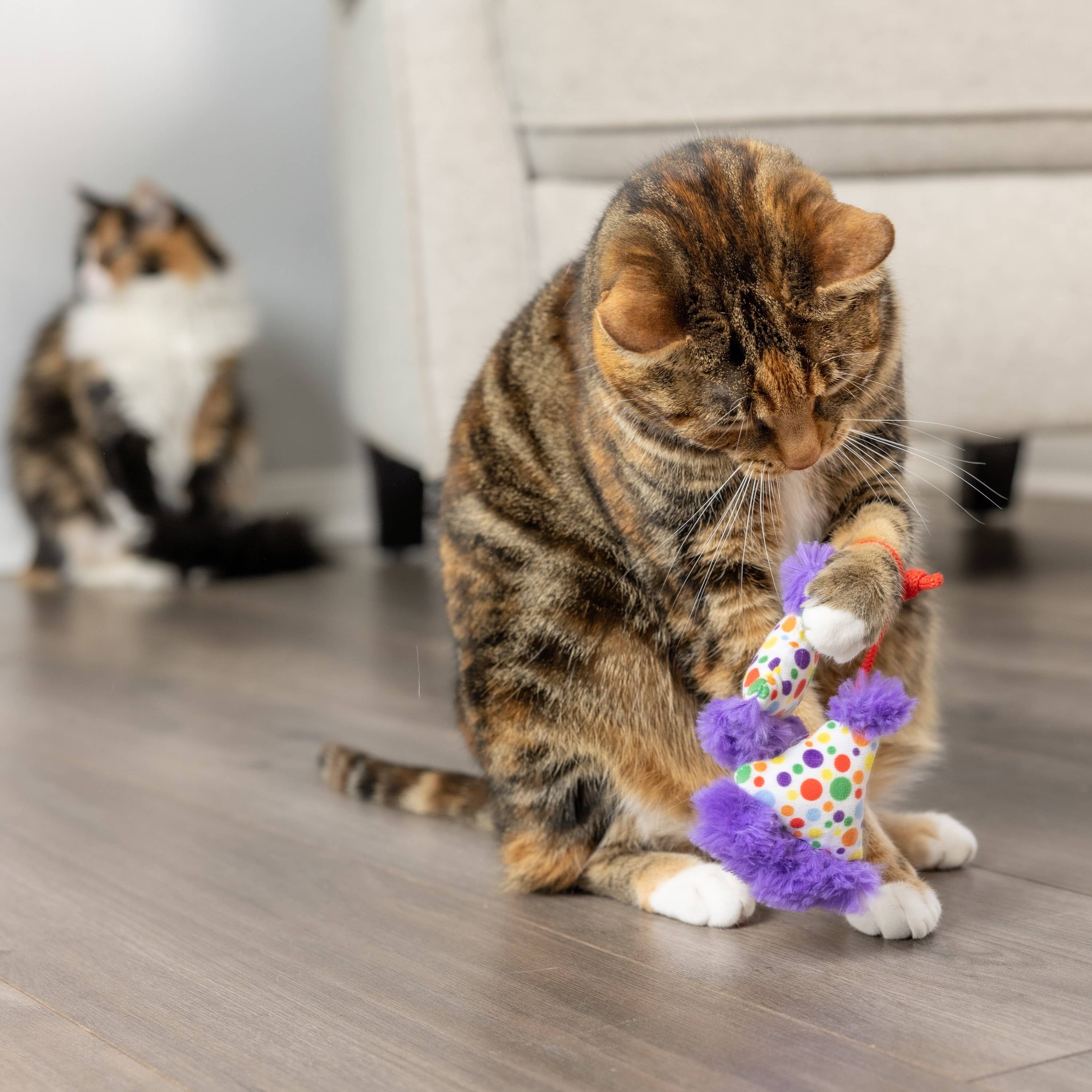 Huxley & Kent - Wholesale Pet Toy - Cat - Party Hats Cat Toy8