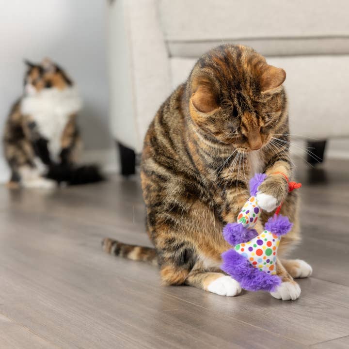 Huxley & Kent - Wholesale Pet Toy - Cat - Party Hats Cat Toy8
