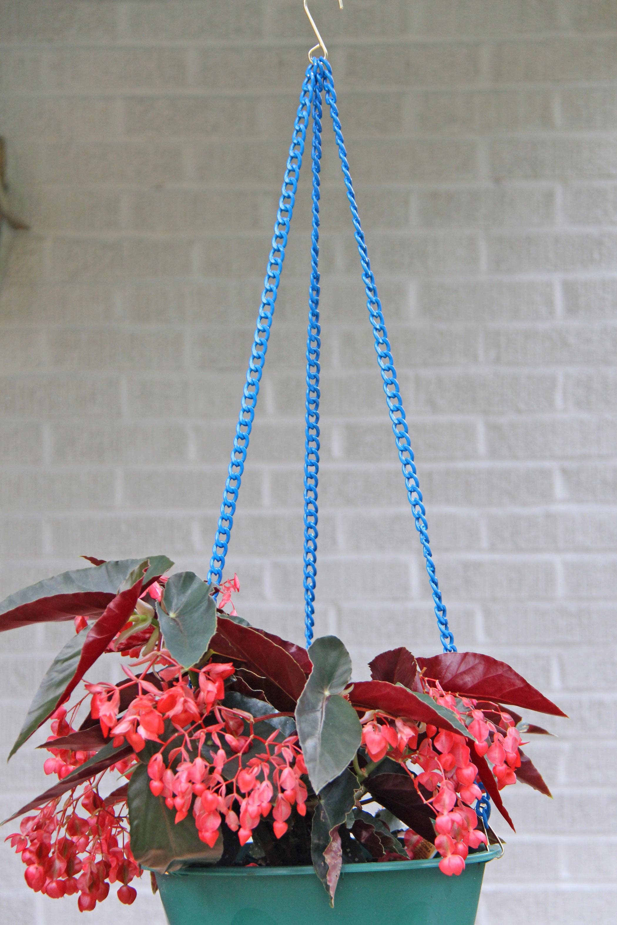 Woman Shops World - Wholesale Hanging Planter - Colorful Enamel Hanging Basket Plant Chain9