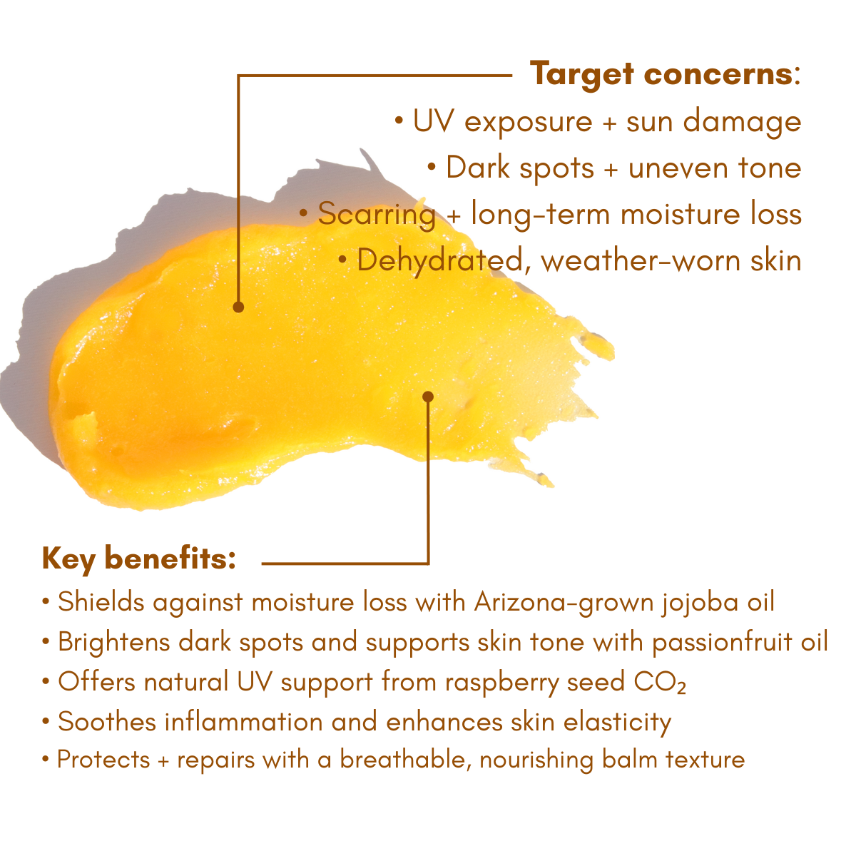 Urb Apothecary - Wholesale Facial Moisturizer - Pot of Gold Regenerative Face Balm – Sun Damage Repair2