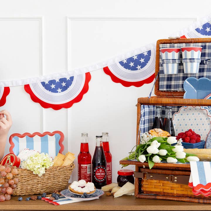 My Mind’s Eye - Wholesale Party Sign/Banner - SSP1115 - Let Freedom Ring Felt Pennant Banner3