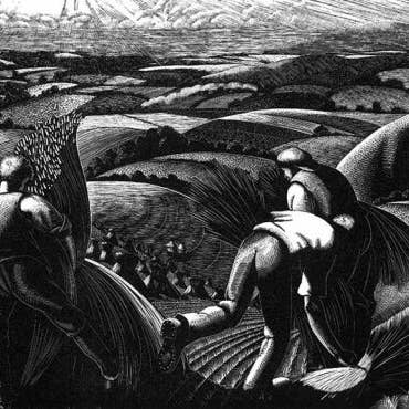 LEIGHTON, CLARE — AUGUSTUS: OOGSTEN voor wholesale door Bookroom Art Press