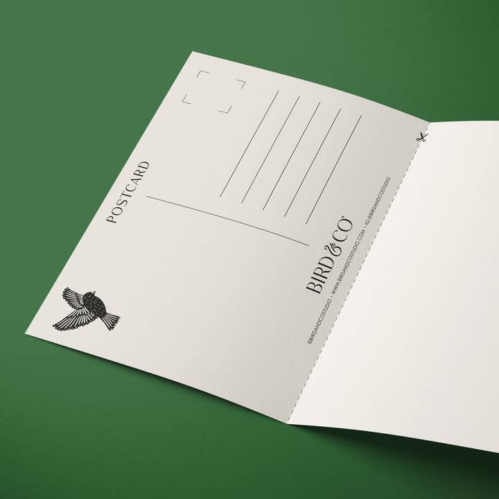 Bird & Co Studio – wholesale Everyday greeting card – Foxglove | Modern-Retro Floral Reusable Greeting Card4