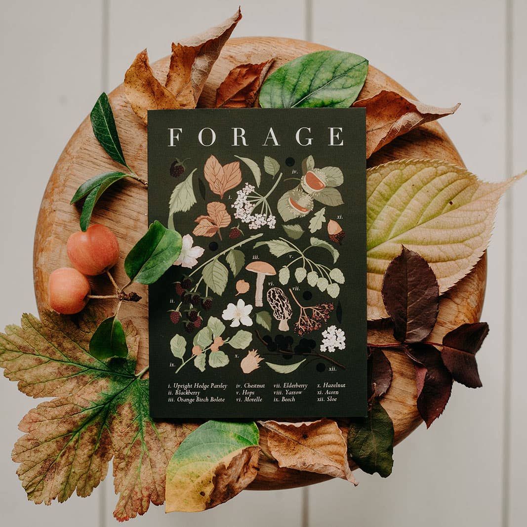 Wildwood Paper – wholesale Everyday greeting card – Forage Dark Green Botanical Just Because Foraging A/W Card1