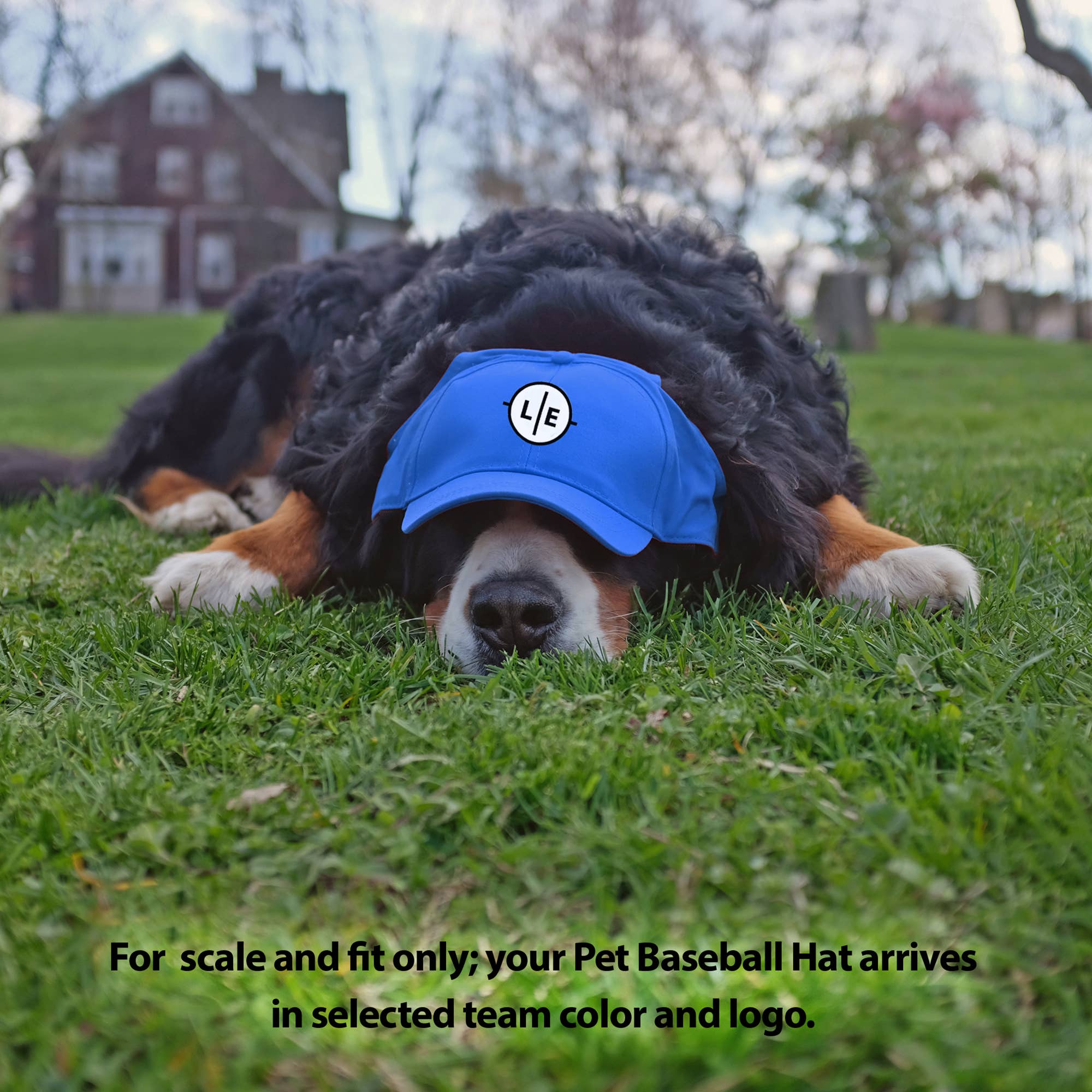Little Earth Productions - Wholesale Pet Hat - Dog - MLB Chicago Cubs Pet Baseball Hat2