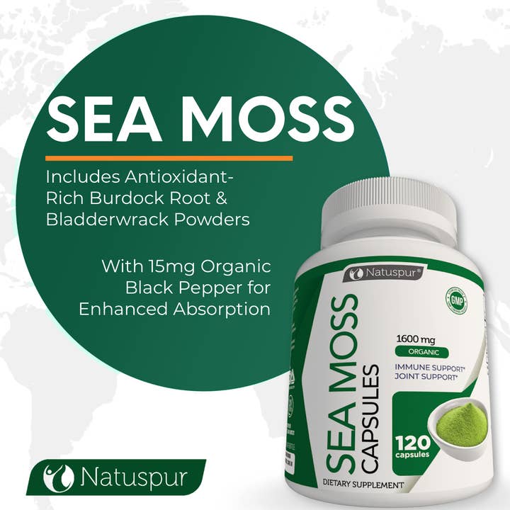 Natuspur – Großhandel Nahrungsergänzungsmittel/Vitamin zum Einnehmen – Irish Sea Moss 1600 mg Bio-Supplement mit Blasentang und Klettenwurzel mit schwarzem Pfeffer2