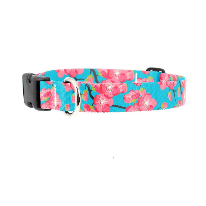 Cheery Cherry Dog Collar - Made in USA for wholesale by Buttonsmith