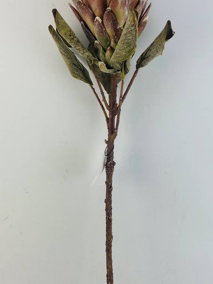 29" Protea Spray, Burgundy for wholesale by Tremont Floral Supplies