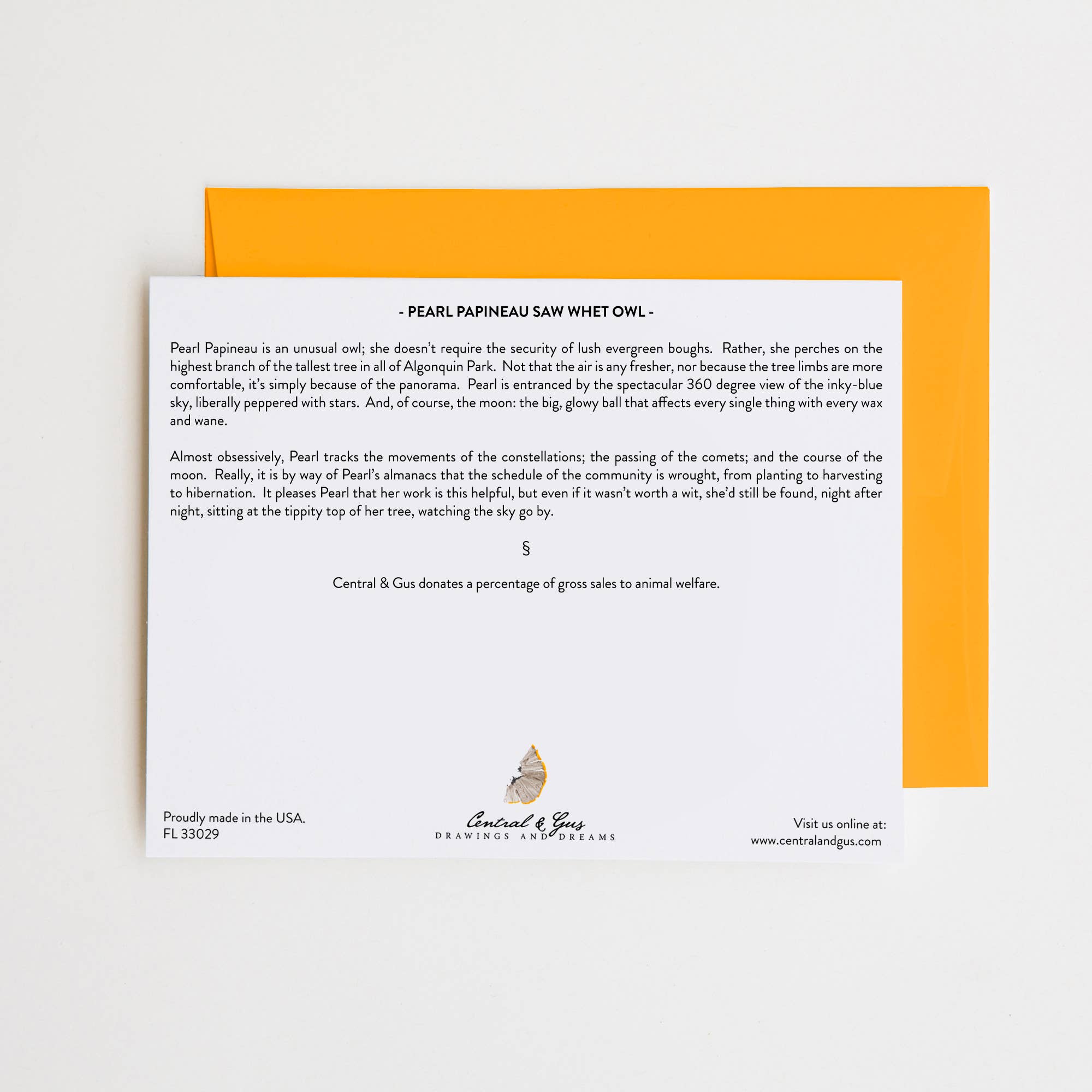 Central & Gus – Cartão de saudação diária por atacado – Cartão de nota Pearl Papineau Saw Whet Owl1