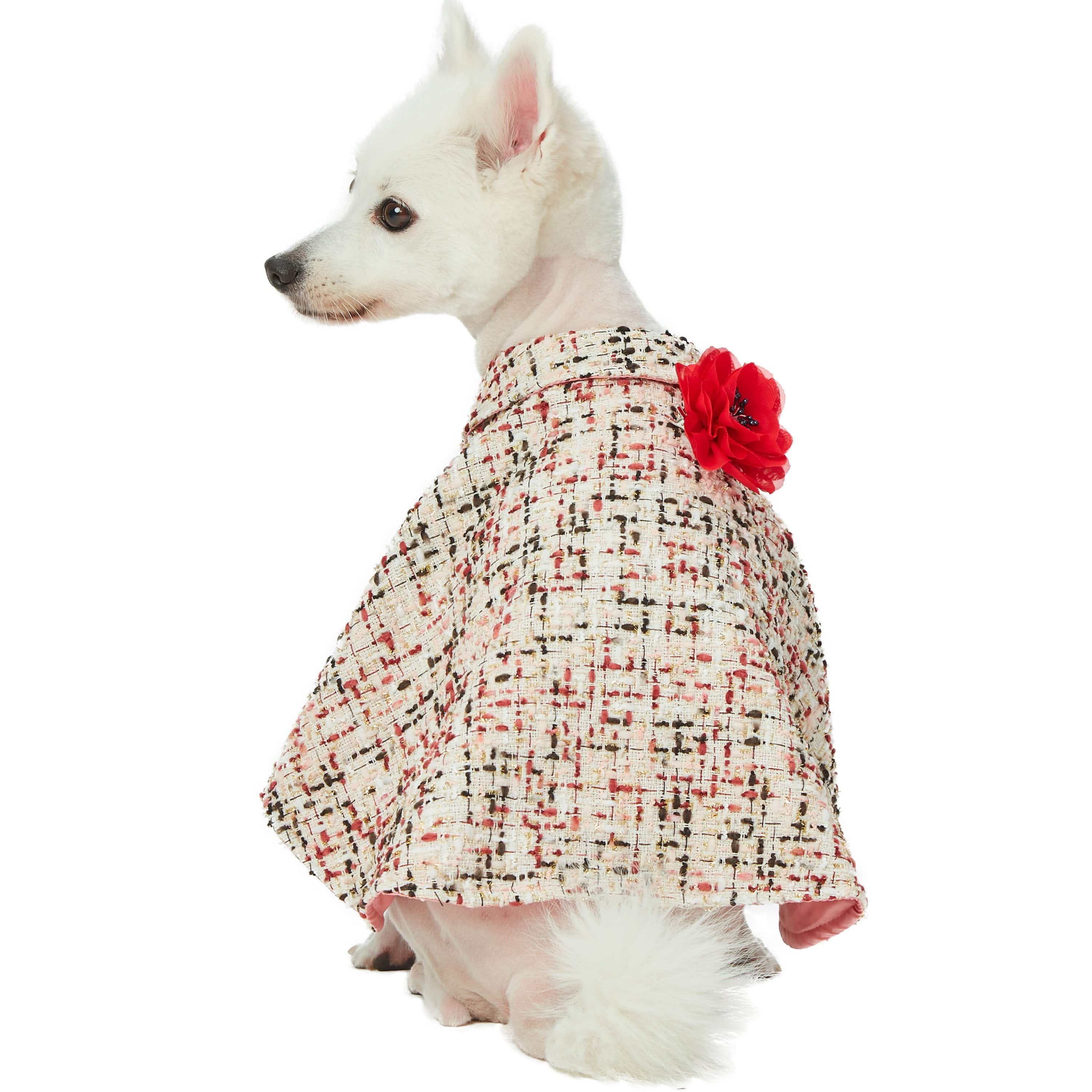 Blueberry Pet - Wholesale Pet Jacket - Dog - All-weather Costume Dog Poncho with Flower0