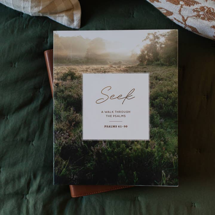 Seek | 6 Week Bible Study | A Walk Through Psalms 61-90 for wholesale by The Daily Grace Co