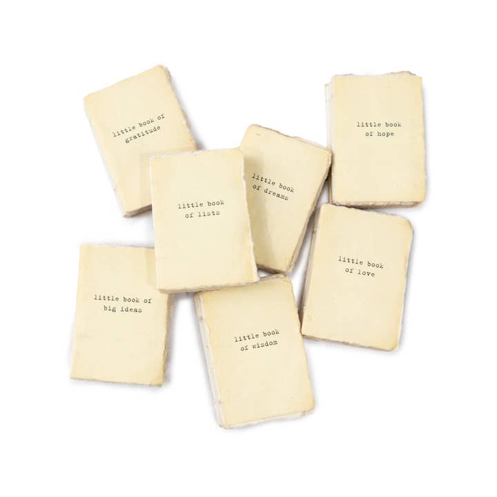 Deckled Edge Little Book Of Collection - Assorted Set of 14 for wholesale by Sugarboo & Co